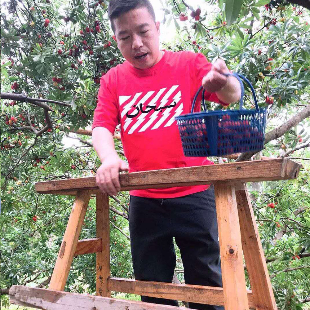 金華市海納鑫隆汽車內(nèi)飾件有限公司團(tuán)建活動(dòng)之摘楊梅