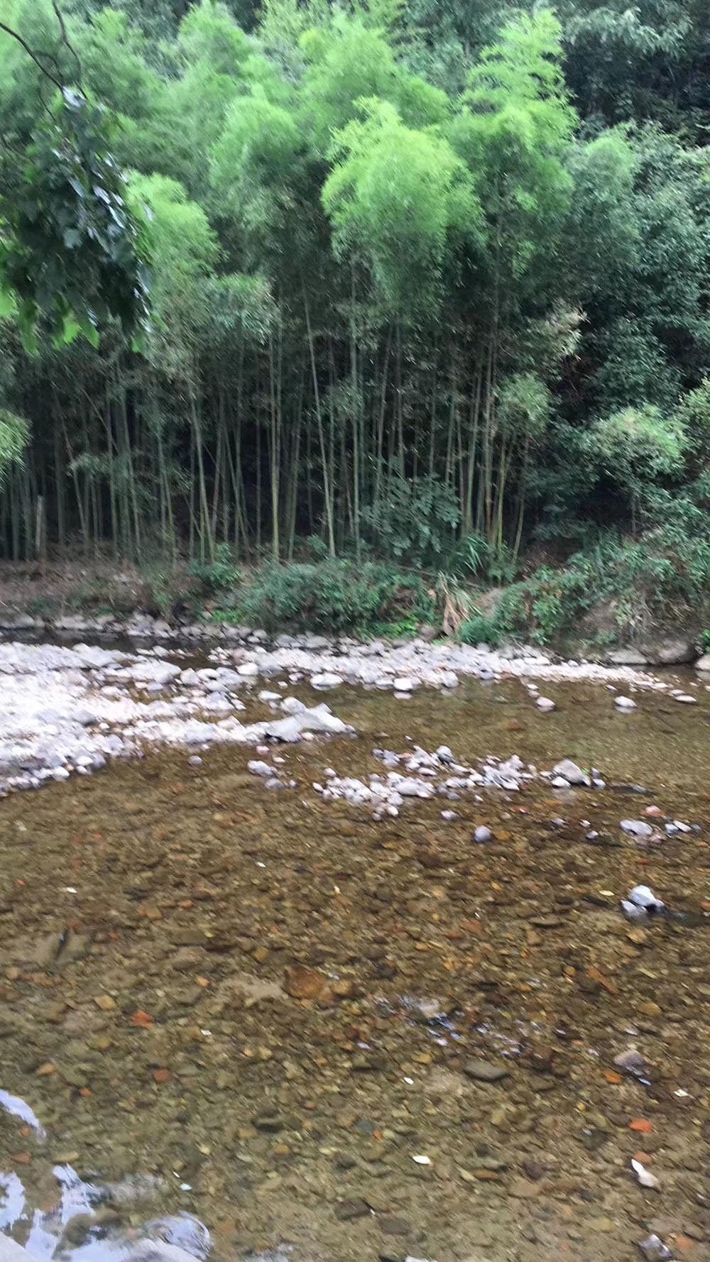 金華市海納鑫隆汽車內(nèi)飾件有限公司團(tuán)建活動(dòng)之水庫游